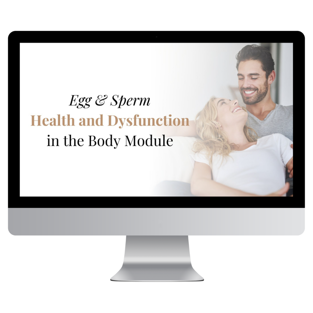 A computer screen shows a happy couple next to the text: Egg & Sperm - Health and Dysfunction in the Body Module